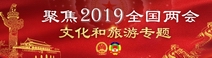 聚焦2019全国两会文化